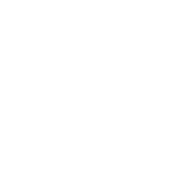 Phone with magnifying glass icon