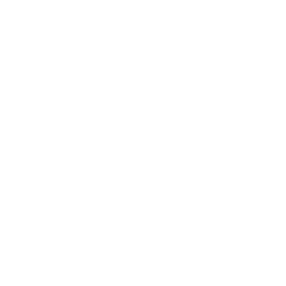Magnifying glass with house inside icon