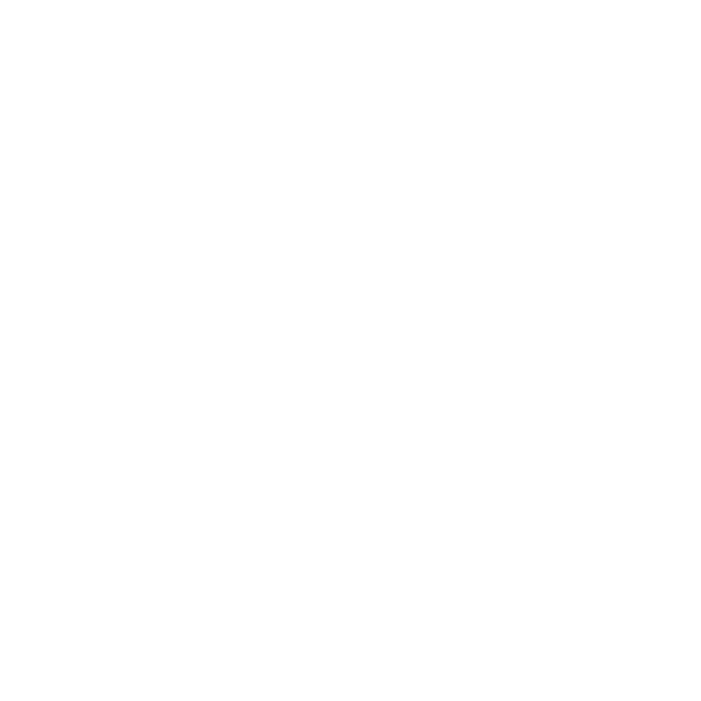 Shelves with boxes icon